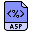 ASP .Net language software developer